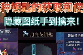 《重生细胞村庄钥匙攻略》（轻松掌握获取钥匙的技巧和方法）