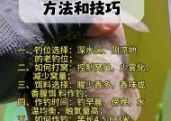 小森生活钓鱼技巧详解（以游戏为主的高效钓鱼方法分享）
