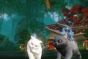 《天谕手游》成年猫位置揭秘（找到成年猫的终极秘诀）