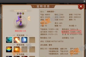 问道bb快速升级的方法是什么？
