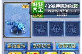 《神武》游戏宠物护符技能护符选择攻略（打造最强战斗宠物的技能选择与护符搭配攻略）