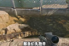 魔兽世界贫瘠之地鳄鱼的打法是什么？如何高效击杀鳄鱼？