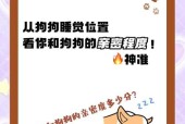 宠物亲密值如何快速提升？问道中刷宠物亲密的方法？