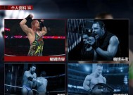 WWE2K15人物能力值中英文对照（解密WWE2K15游戏中角色能力值的深层含义）