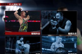 WWE2K15人物能力值中英文对照（解密WWE2K15游戏中角色能力值的深层含义）