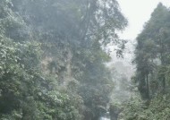 烟雨江湖峨眉山（游戏中解锁烟雨江湖峨眉山的攻略与技巧）