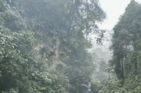 烟雨江湖峨眉山（游戏中解锁烟雨江湖峨眉山的攻略与技巧）