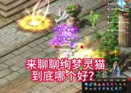 魔域灵猫绯绯如何认命骑士？认命骑士的条件是什么？