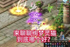 魔域灵猫绯绯如何认命骑士？认命骑士的条件是什么？