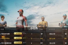 绝地求生战绩怎么看？如何查看自己的游戏战绩？