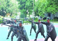 盾牌的使用技巧有哪些？如何在战斗中有效使用盾牌？