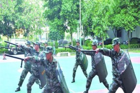 盾牌的使用技巧有哪些？如何在战斗中有效使用盾牌？