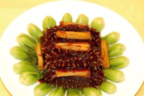 以食物语（如何获得美味的海参与制作葱烧海参）