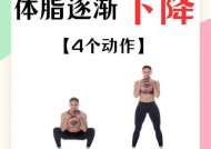 火影忍者体脂秤的正确使用方法是什么？