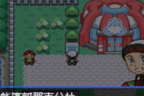 《口袋妖怪绿宝石》秘密基地混合指南（探索秘密基地）