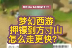 大话西游中如何玩转方寸山？方寸山有哪些特色玩法？
