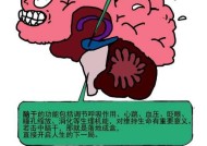 中枪后如何快速反应？