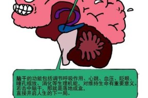 中枪后如何快速反应？