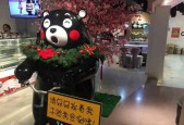 《阴阳师妖怪屋》游戏熊本熊使用指南（探索阴阳世界）