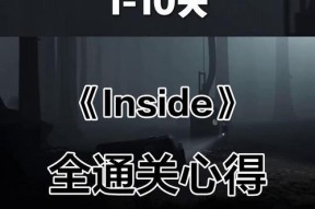《INSIDE第十九幕第十九关通关攻略》（解密迷局）