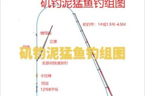 《掌握钓鱼技巧，赢取诺亚之心》（学习钓鱼攻略）