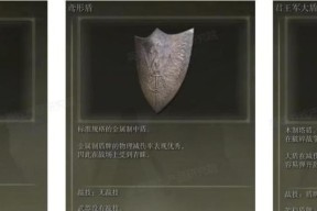 艾尔登法环冰霜踏地战灰搭配武器攻略（玩家必看）