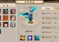 问道青羽神兽战斗攻略是什么？