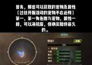 DNF鱿鱼宠物购买方法是什么？购买后有何用途？
