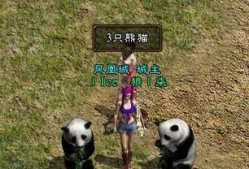 热血传奇游戏造纸龙打法介绍？如何快速击败造纸龙？