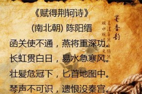 新荆轲技能如何运用？实战中应注意哪些技巧？