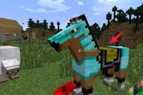 我的世界中如何给马装备和喂食？