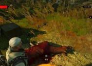 巫师3（一步步教你成为顶级猎魔人）