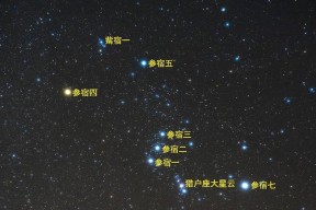 老农种树星座游戏（老农们快来玩）
