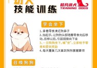 热血传奇游戏中的练狗方法是什么？如何高效训练宠物狗？