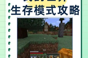 手机上如何测试玩《我的世界》？玩《我的世界》需要什么配置？