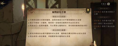 哈利波特魔法觉醒捏脸教学攻略（从零开始，打造专属魔法师）  第3张