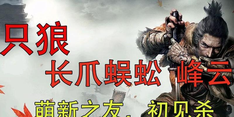 以仙云长爪蜈蚣打法介绍——快速击杀蜈蚣攻略（从技巧到装备全方位详解）  第3张