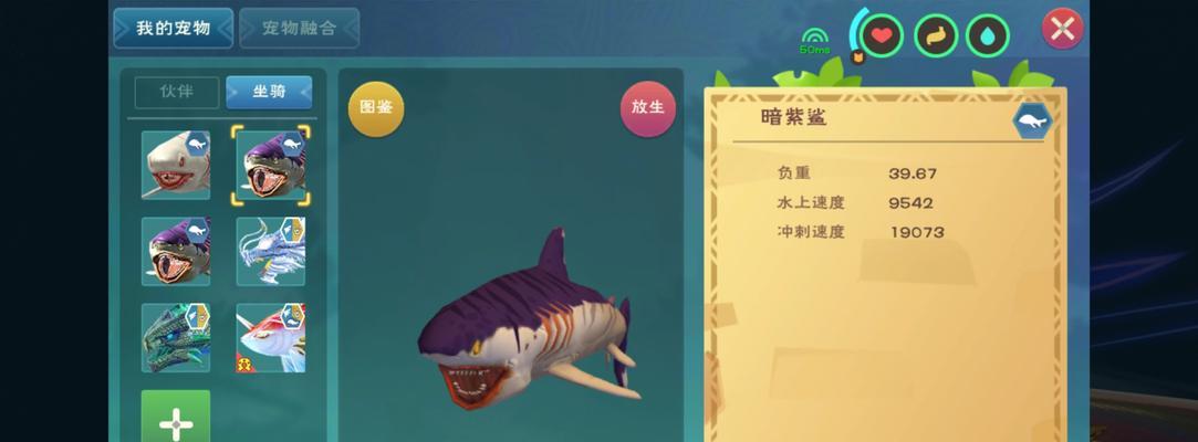 手把手教你制作创造与魔法幼紫鲨饲料（用简单材料）  第2张