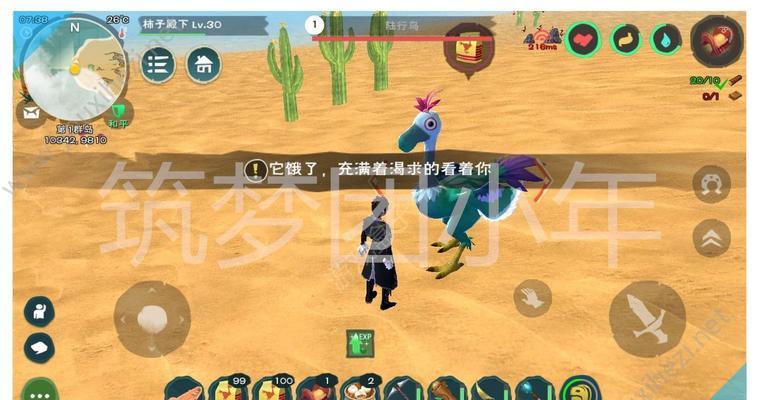 熔岩蝾螈养殖攻略（创造与魔法中如何制作熔岩蝾螈饲料）  第1张