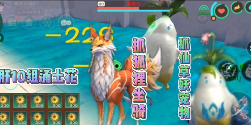 《创造与魔法》南瓜坐骑进阶攻略（掌握南瓜坐骑的所有进阶技巧）  第3张