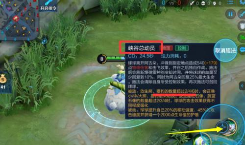 王者荣耀阿古朵技能介绍？如何有效利用阿古朵的技能组合？  第2张