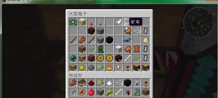 在《我的世界》中如何取一个好听的tag？有哪些技巧？  第3张
