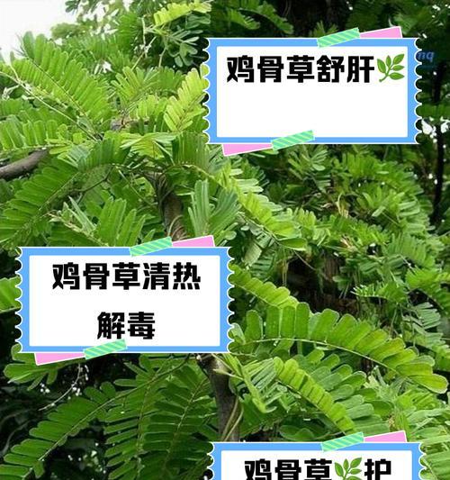 绝地求生中如何利用草丛隐蔽？草丛隐蔽技巧是什么？  第2张