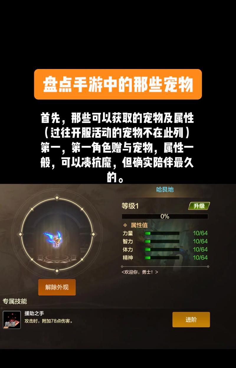 DNF鱿鱼宠物购买方法是什么？购买后有何用途？  第1张
