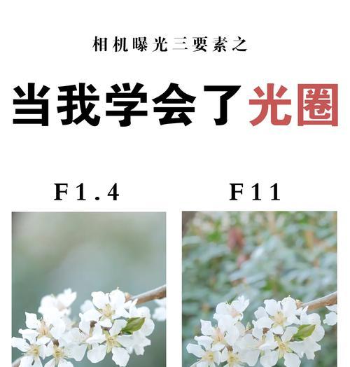 完美世界光圈调整方法是什么？  第3张