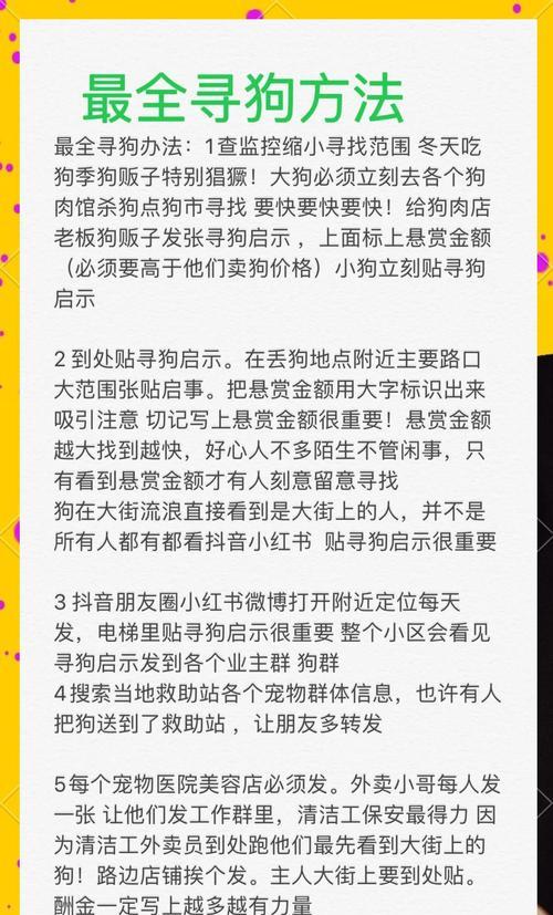 地下城宠物丢失如何找回？删除宠物的正确步骤是什么？  第2张