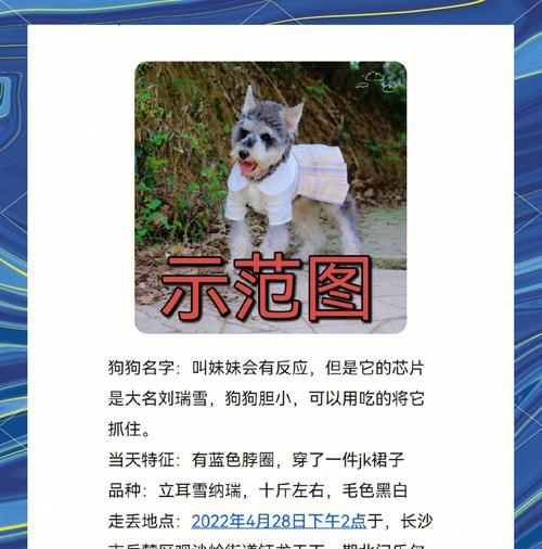 地下城宠物丢失如何找回？删除宠物的正确步骤是什么？  第1张