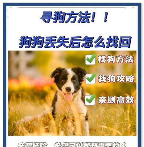 地下城宠物丢失如何找回？删除宠物的正确步骤是什么？  第3张