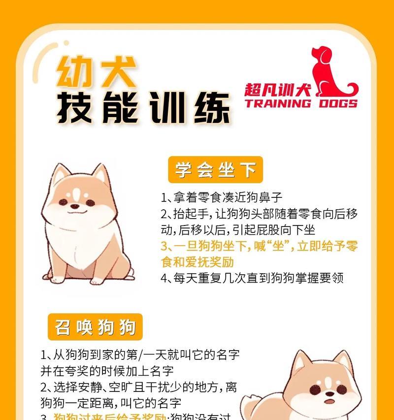 热血传奇游戏中的练狗方法是什么？如何高效训练宠物狗？  第1张