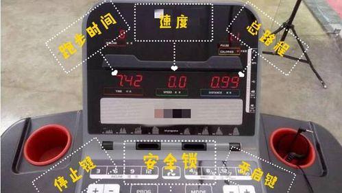 绝地求生中如何关闭自动跑步？设置方法是什么？  第2张